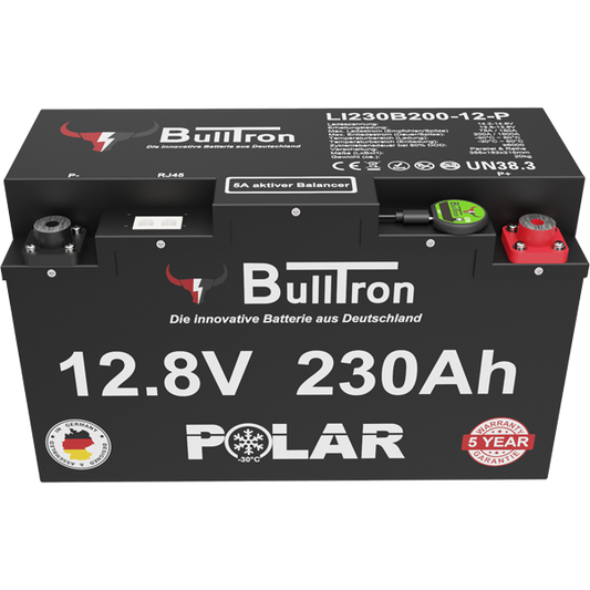BullTron Polar 230Ah incl. Smart BMS mit 200A Dauerstrom & Bluetooth App