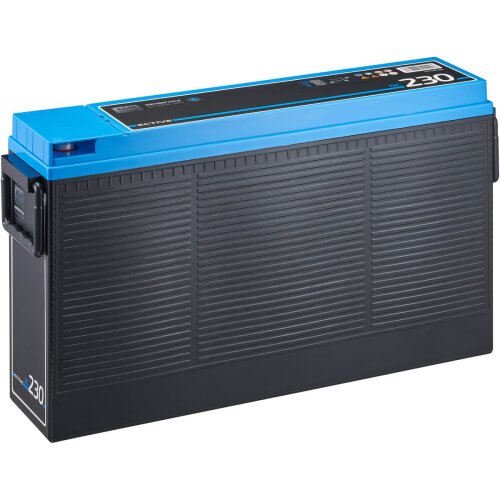 ECTIVE DC 230S AGM Deep Cycle mit LCD-Anzeige 230Ah Versorgungsbatterie